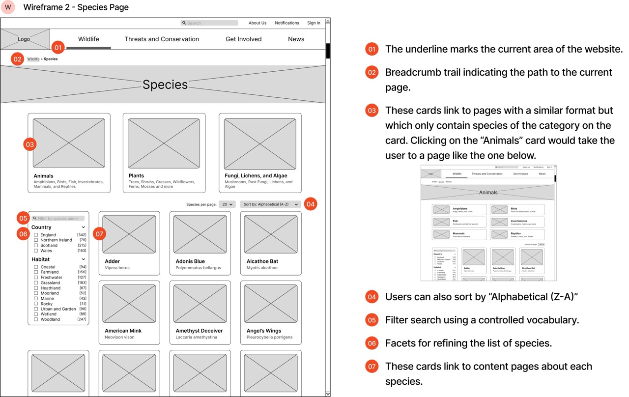 Species page wireframe